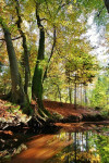 Leuvenumse beek